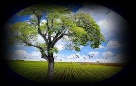 correction of presbyopia correction of presbyopia